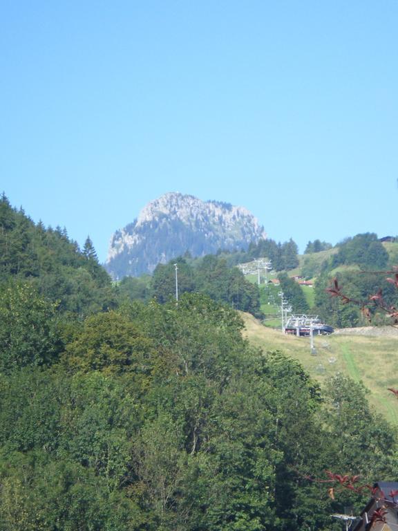 Appartement Heidinger à Oberaudorf Extérieur photo